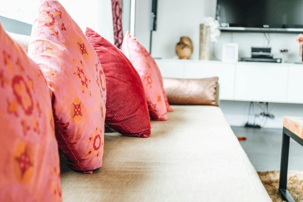 So gestaltest du eine aufregende vegane Kochshow für deine Nachbarschaft!